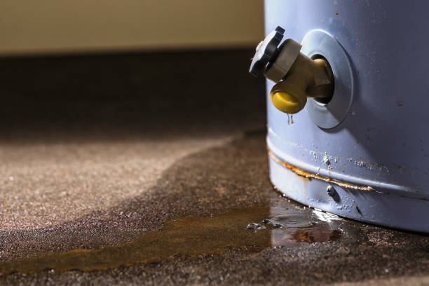 Sewage cleanup and water damage restoration in Mauriceville, TX