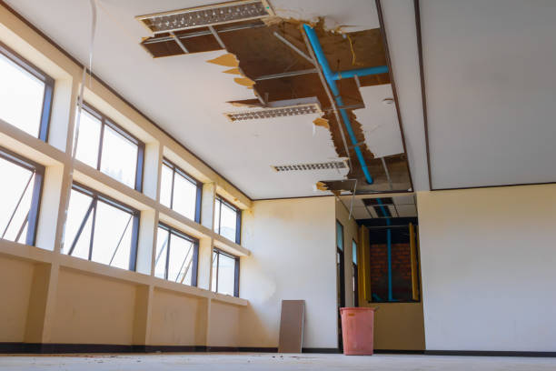 Trusted Mauriceville, TX Water damage restoration Experts