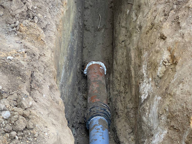 Best Sewage cleanup and water damage restoration  in Mauriceville, TX