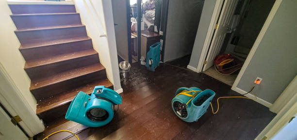 Best Water damage restoration near me  in Mauriceville, TX