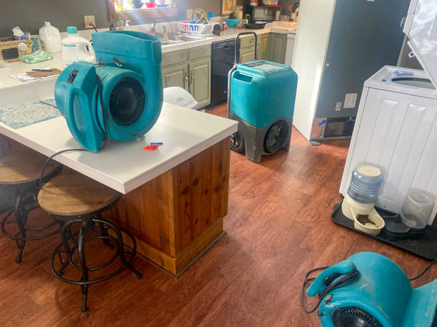 Best Local water damage restoration  in Mauriceville, TX
