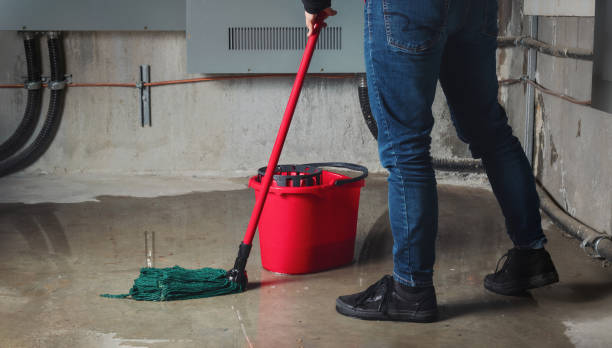 Best Water damage cleanup near me  in Mauriceville, TX