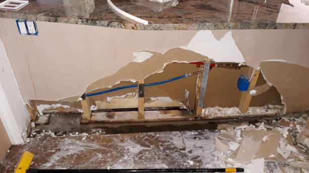 Best Water damage mitigation services  in Mauriceville, TX