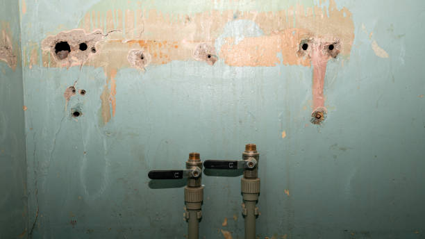Best Commercial water damage restoration  in Mauriceville, TX