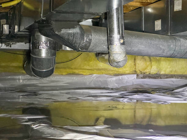 Carpet water damage restoration in Mauriceville, TX