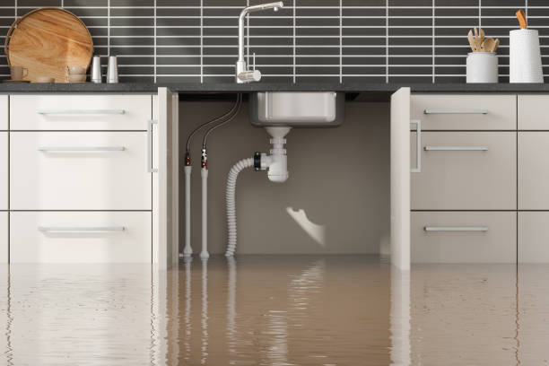 Best Sewage cleanup and water damage restoration  in Mauriceville, TX