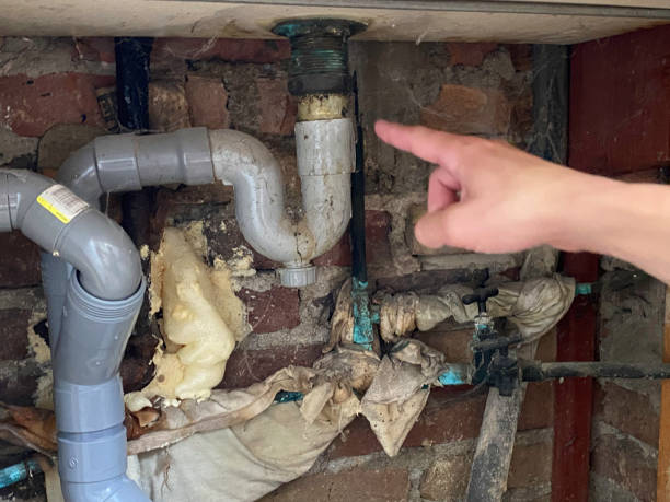Best Flooded house restoration  in Mauriceville, TX