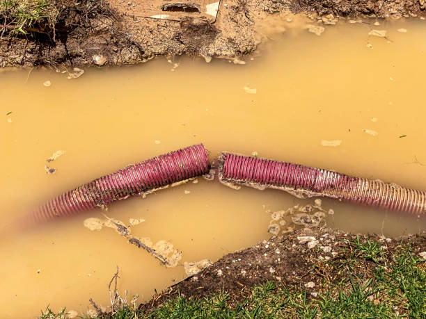 Best Professional water damage repair  in Mauriceville, TX