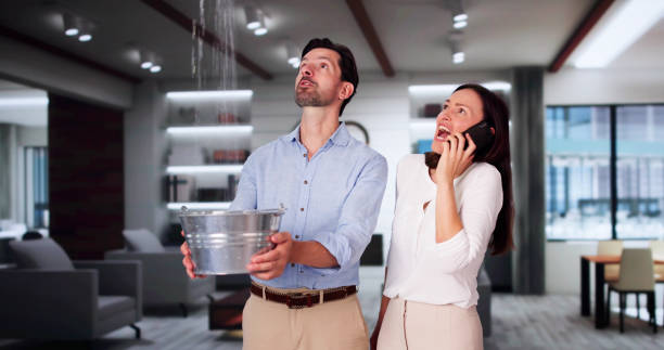  Mauriceville, TX Water damage restoration Pros
