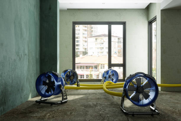 Best 24/7 water damage repair  in Mauriceville, TX