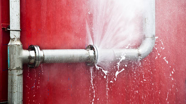 Best Mold removal after water damage  in Mauriceville, TX
