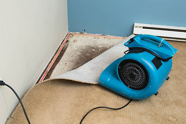 Best Flood damage cleanup  in Mauriceville, TX
